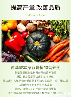 微生物有機肥與氨基酸肥料的協(xié)同創(chuàng)新 復合氨基酸原粉、水溶肥及葉面肥的生物有機肥料研發(fā)