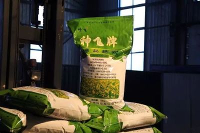 我縣神飛生物科技股份簽訂超千萬元大單，引領復合微生物肥料研發(fā)新篇章